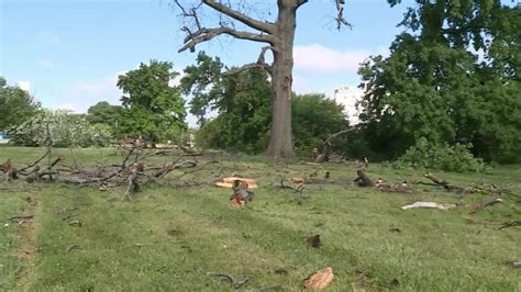 University City starting downed limb curb pickup today, power restoration continues